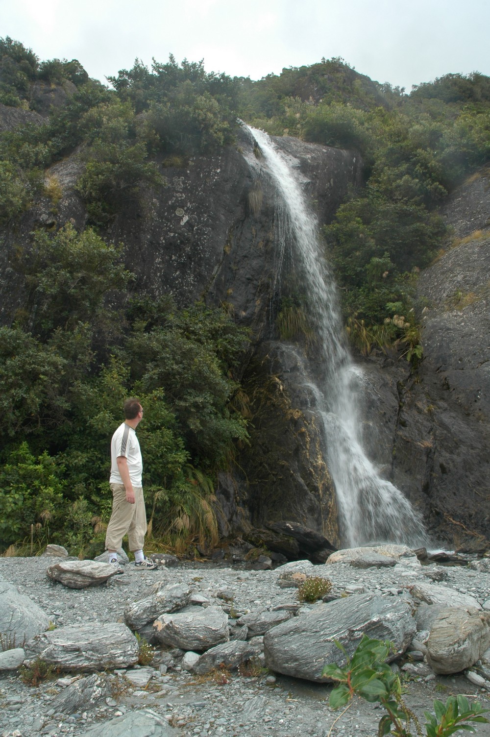 110   24 01   Greymouth   Fox Glacier